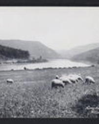 Lycoming County, Williamsport, Pa., Scenic Views, Susquehanna River