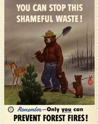 Fire Prevention, "You Can Stop This Shameful Waste! Remember-Only you can prevent forest fires!"