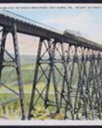 McKean County, Kinzua Bridge, Between Bradford and Kane, Pa. Height 301 Feet, Length 2250 Feet