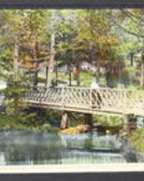 Blair County, Bellwood, Pa., Bridge scene in Rhododendron Park 