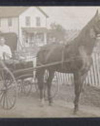 Allegheny County, Miscellaneous Towns and Places, Pittsburgh, Pa., 2528 Penn Ave., Man in carriage with horse