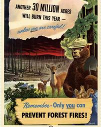 Fire Prevention, "Another 30 Million Acres Will Burn This Year-unless you are careful! Remember -Only you can prevent forest fires!"