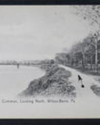 Luzerne County, Wilkes-Barre, Pa., Scenic Views, River Common looking North