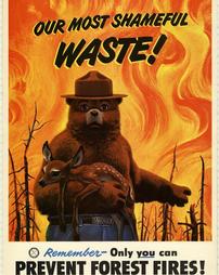 Fire Prevention, "Our Most Shameful Waste! Remember-Only you can prevent forest fires!"