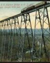 McKean County, Kinzua Bridge, on Erie Railroad, Highest Bridge in United States, 301 1/2 Feet High, Length 2100 Feet