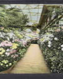 Philadelphia County, Philadelphia, Pa., Fairmount Park: Buildings, Horticultural Hall, Chrysanthemum Display