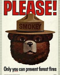 Fire Prevention, "Please! Only you can prevent forest fires"