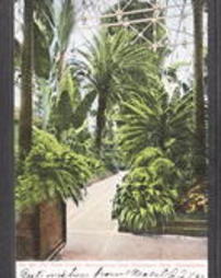 Philadelphia County, Philadelphia, Pa., Fairmount Park: Buildings, Horticultural Hall, The Palm Exhibit