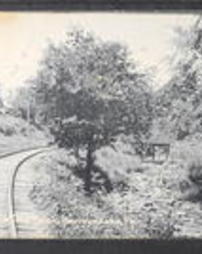 Luzerne County, Harvey's Lake, Pa., Trolley Road and Topy Creek