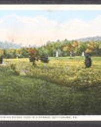 Adams County, Gettysburg, Pa., Battlefield Areas, The Wheatfield, Showing Round Tops in Distance