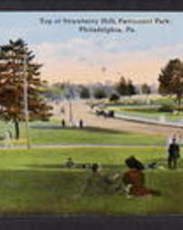 Philadelphia County, Philadelphia, Pa., Fairmount Park: Buildings, Strawberry Hill, Top of Strawberry Hill