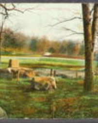 Adams County, Gettysburg, Pa., Miscellaneous Battlefield Views, Spanglers Meadow