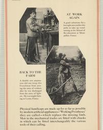 WW 1-Red Cross "At Work Again, Back to the Farm", additional text on poster, Institute for Crippled and Disabled Men and Institute for the Blind