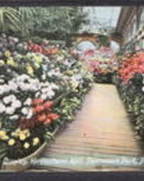 Philadelphia County, Philadelphia, Pa., Fairmount Park: Buildings, Horticultural Hall, Chrysanthemum Display