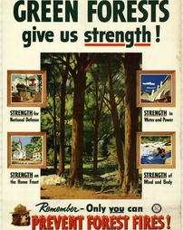 Fire Prevention, "Green Forests…help prevent floods, provide irrigation water, provide domestic water, provide water power. Remember-Only you can prevent forest fires!"